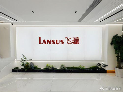 飛驤科技IPO挑戰(zhàn) 前五月營收凈利下滑，高負(fù)債率引關(guān)注